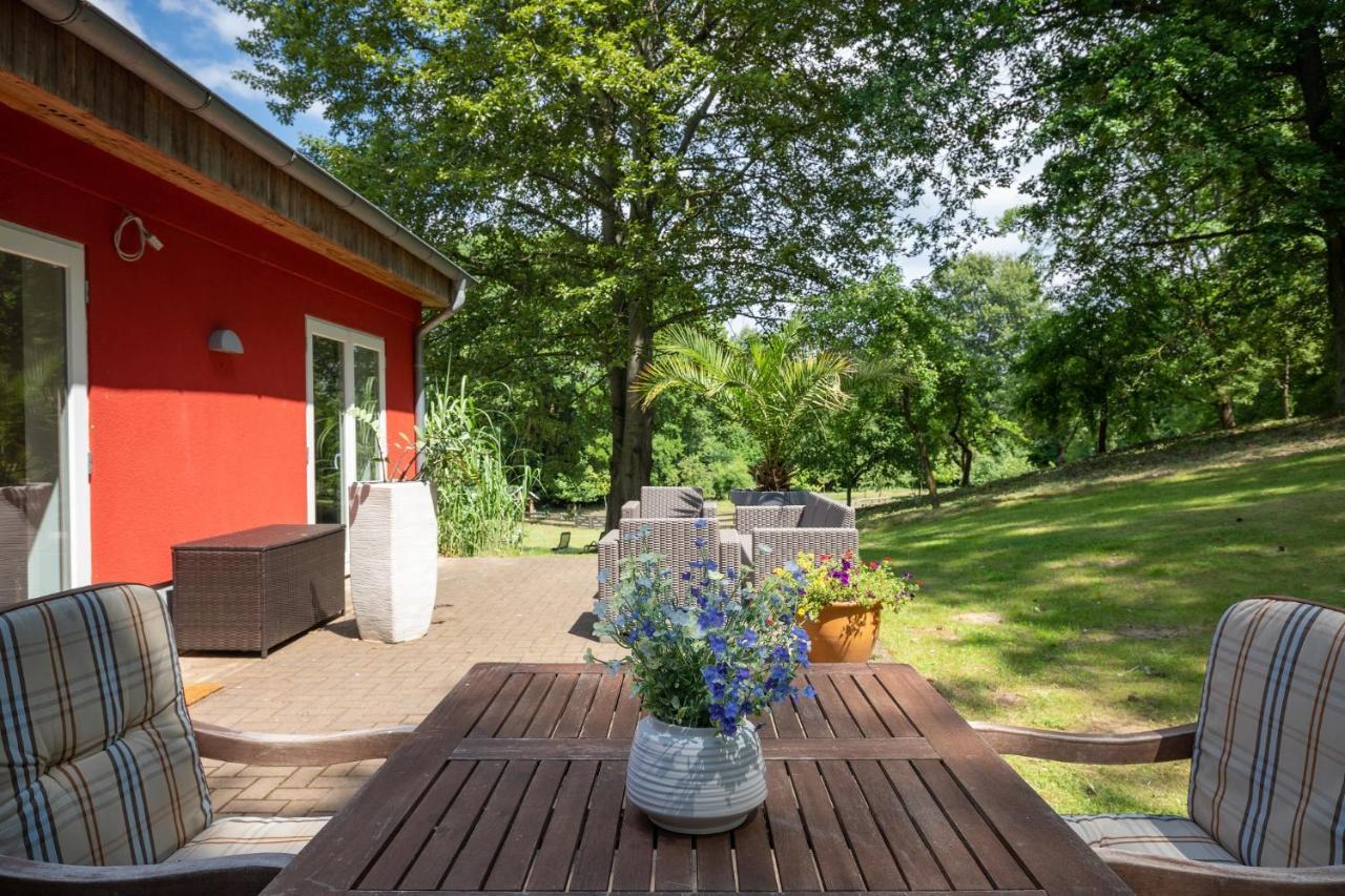 Seehotel Lindenhof Lychen Buitenkant foto